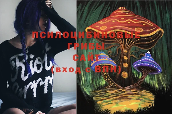 прущие грибы Корсаков