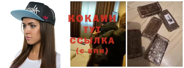 прущие грибы Корсаков