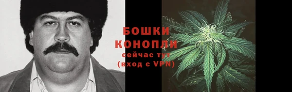 прущие грибы Корсаков