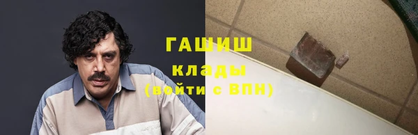 прущие грибы Корсаков