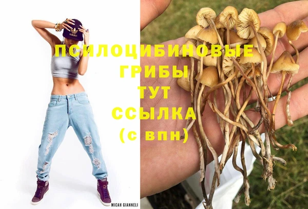 твердый Александровское