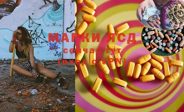 прущие грибы Корсаков