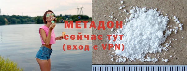 прущие грибы Корсаков
