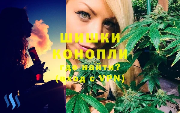 спайс Коряжма