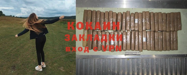 прущие грибы Корсаков