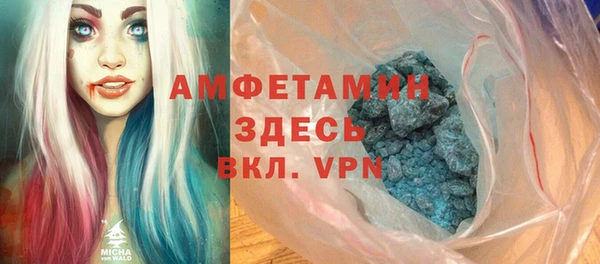 прущие грибы Корсаков