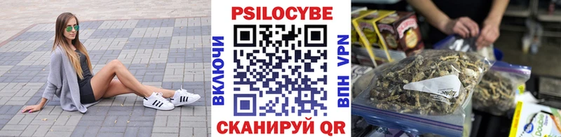 хочу наркоту  Елец  Псилоцибиновые грибы Psilocybe 