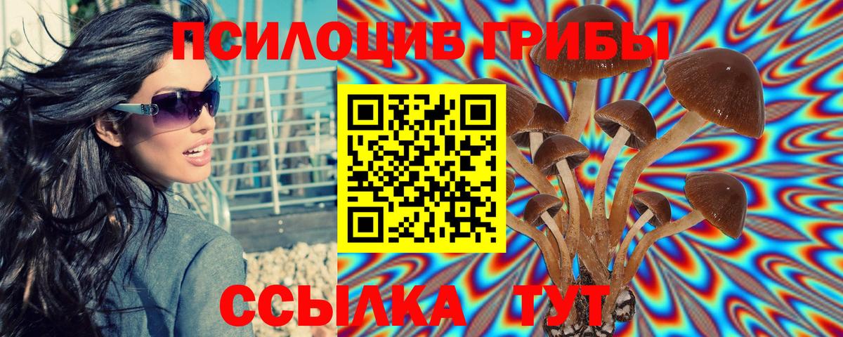 Елец  Псилоцибиновые грибы Psilocybine cubensis  Вход с VPN 