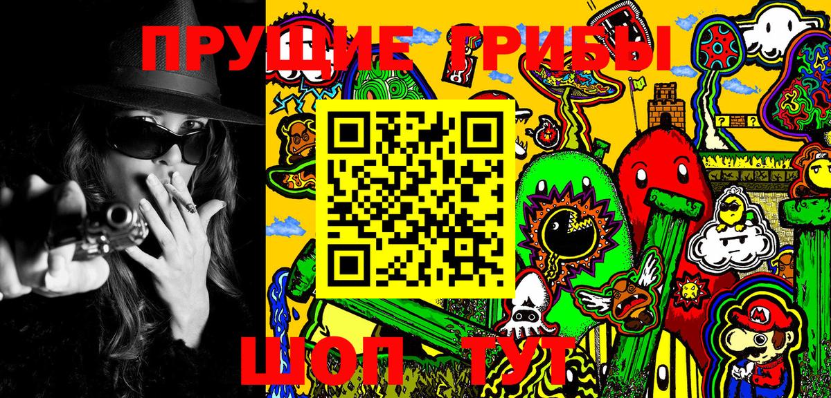 Псилоцибиновые грибы Cubensis Елец